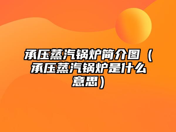 承壓蒸汽鍋爐簡(jiǎn)介圖（承壓蒸汽鍋爐是什么意思）