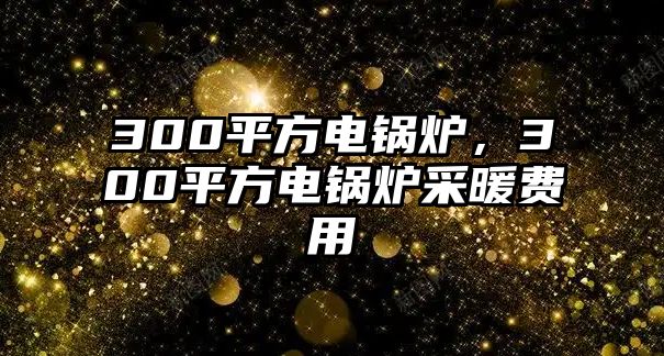 300平方電鍋爐，300平方電鍋爐采暖費(fèi)用