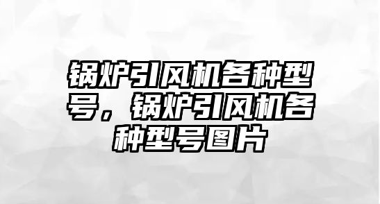 鍋爐引風機各種型號，鍋爐引風機各種型號圖片