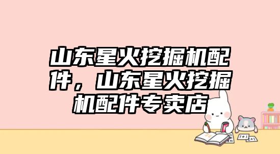 山東星火挖掘機(jī)配件，山東星火挖掘機(jī)配件專賣(mài)店