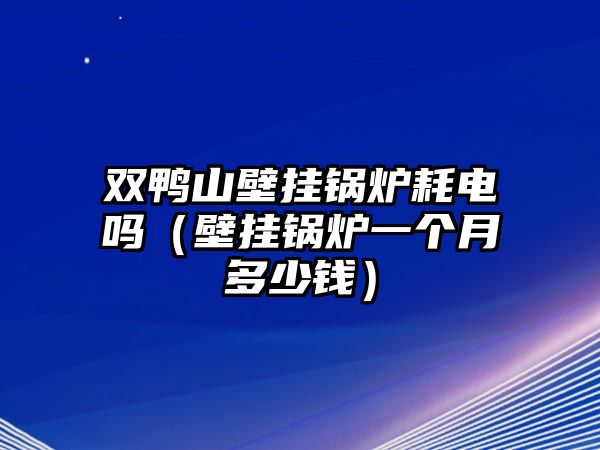 雙鴨山壁掛鍋爐耗電嗎（壁掛鍋爐一個月多少錢）