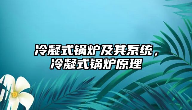 冷凝式鍋爐及其系統(tǒng)，冷凝式鍋爐原理