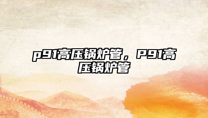 p91高壓鍋爐管，P91高壓鍋爐管