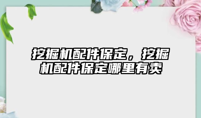 挖掘機(jī)配件保定，挖掘機(jī)配件保定哪里有賣