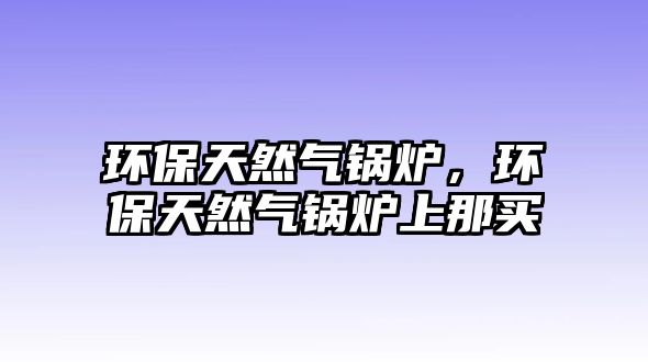 環(huán)保天然氣鍋爐，環(huán)保天然氣鍋爐上那買