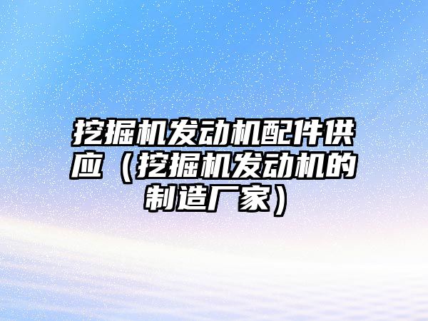 挖掘機發(fā)動機配件供應（挖掘機發(fā)動機的制造廠家）