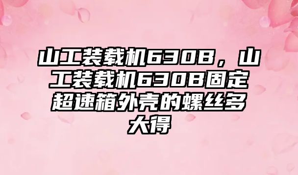 山工裝載機(jī)630B，山工裝載機(jī)630B固定超速箱外殼的螺絲多大得