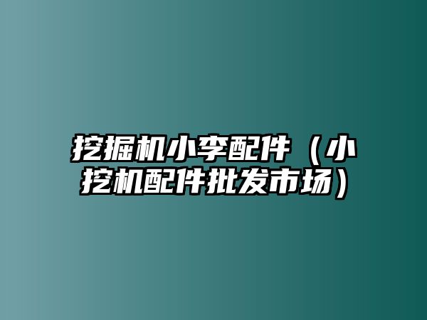 挖掘機(jī)小李配件（小挖機(jī)配件批發(fā)市場(chǎng)）