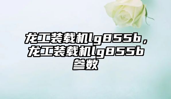 龍工裝載機lg855b，龍工裝載機lg855b參數(shù)