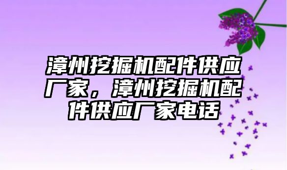 漳州挖掘機配件供應廠家，漳州挖掘機配件供應廠家電話