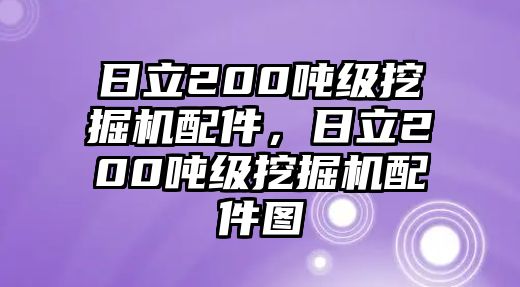 日立200噸級(jí)挖掘機(jī)配件，日立200噸級(jí)挖掘機(jī)配件圖