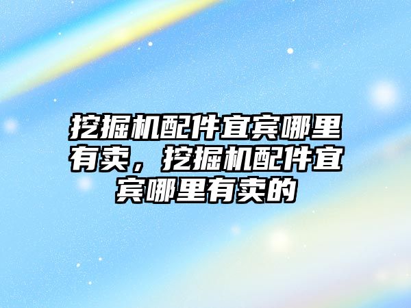 挖掘機配件宜賓哪里有賣，挖掘機配件宜賓哪里有賣的