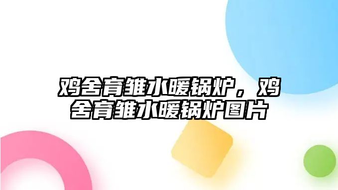 雞舍育雛水暖鍋爐，雞舍育雛水暖鍋爐圖片