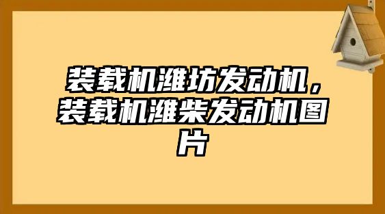 裝載機(jī)濰坊發(fā)動(dòng)機(jī)，裝載機(jī)濰柴發(fā)動(dòng)機(jī)圖片