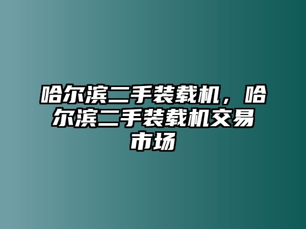 哈爾濱二手裝載機(jī)，哈爾濱二手裝載機(jī)交易市場