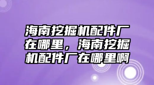 海南挖掘機(jī)配件廠在哪里，海南挖掘機(jī)配件廠在哪里啊