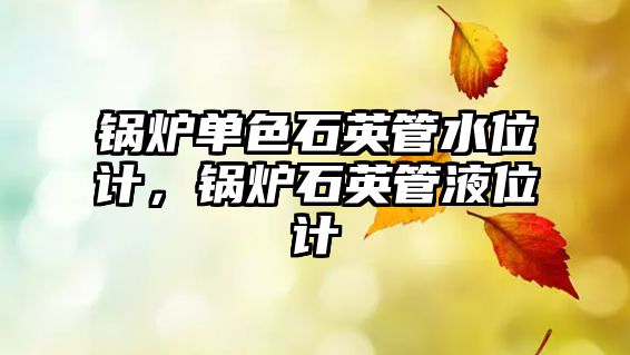 鍋爐單色石英管水位計，鍋爐石英管液位計