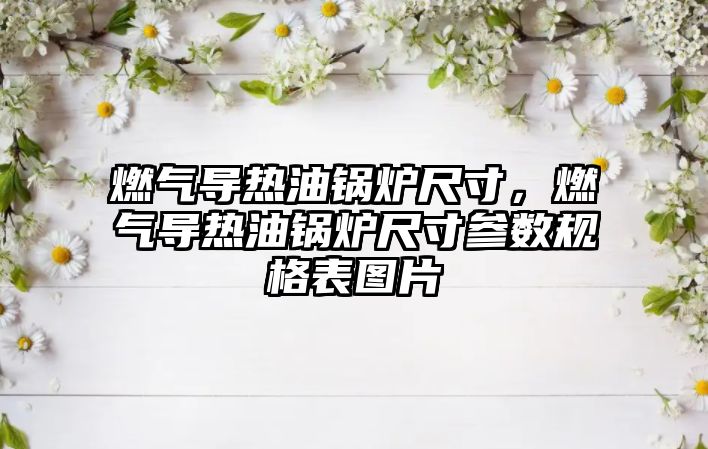 燃?xì)鈱?dǎo)熱油鍋爐尺寸，燃?xì)鈱?dǎo)熱油鍋爐尺寸參數(shù)規(guī)格表圖片