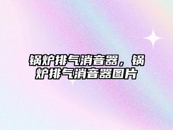 鍋爐排氣消音器，鍋爐排氣消音器圖片