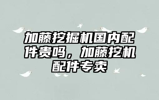 加藤挖掘機國內(nèi)配件貴嗎，加藤挖機配件專賣