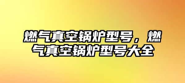 燃氣真空鍋爐型號，燃氣真空鍋爐型號大全