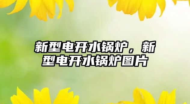 新型電開水鍋爐，新型電開水鍋爐圖片