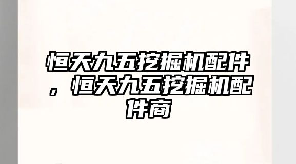 恒天九五挖掘機(jī)配件，恒天九五挖掘機(jī)配件商