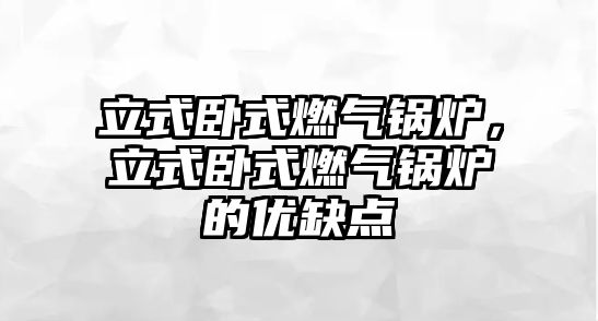 立式臥式燃?xì)忮仩t，立式臥式燃?xì)忮仩t的優(yōu)缺點(diǎn)