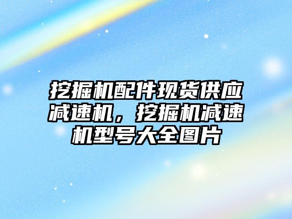 挖掘機配件現(xiàn)貨供應(yīng)減速機，挖掘機減速機型號大全圖片