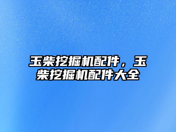 玉柴挖掘機配件，玉柴挖掘機配件大全