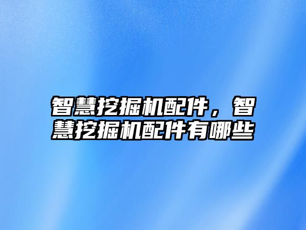 智慧挖掘機配件，智慧挖掘機配件有哪些