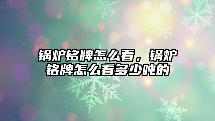 鍋爐銘牌怎么看，鍋爐銘牌怎么看多少噸的