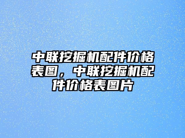 中聯(lián)挖掘機(jī)配件價(jià)格表圖，中聯(lián)挖掘機(jī)配件價(jià)格表圖片