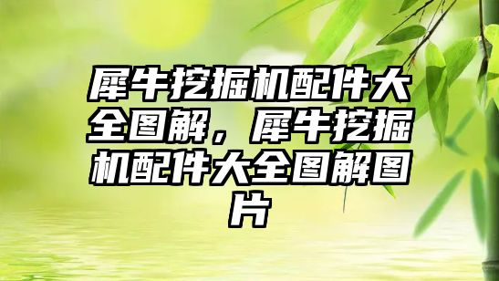 犀牛挖掘機配件大全圖解，犀牛挖掘機配件大全圖解圖片