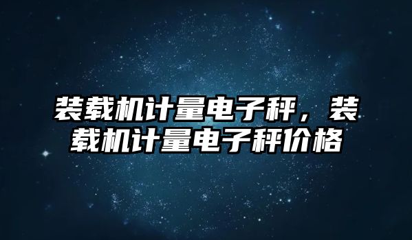 裝載機計量電子秤，裝載機計量電子秤價格