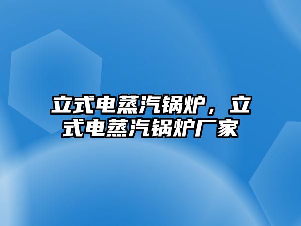 立式電蒸汽鍋爐，立式電蒸汽鍋爐廠家