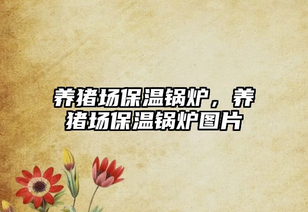 養(yǎng)豬場保溫鍋爐，養(yǎng)豬場保溫鍋爐圖片