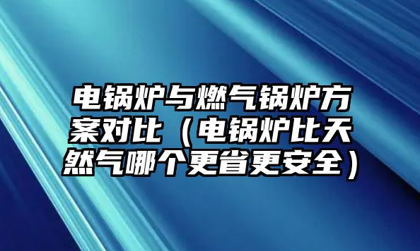 電鍋爐與燃?xì)忮仩t方案對比（電鍋爐比天然氣哪個更省更安全）