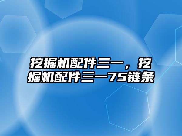 挖掘機配件三一，挖掘機配件三一75鏈條