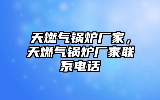 天燃?xì)忮仩t廠家，天燃?xì)忮仩t廠家聯(lián)系電話