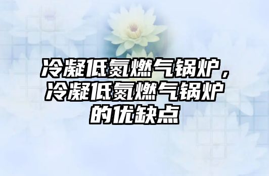 冷凝低氮燃?xì)忮仩t，冷凝低氮燃?xì)忮仩t的優(yōu)缺點