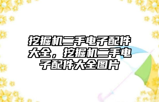 挖掘機(jī)二手電子配件大全，挖掘機(jī)二手電子配件大全圖片