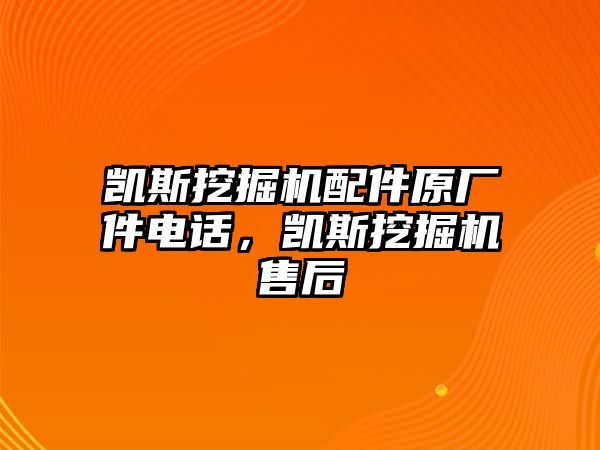 凱斯挖掘機(jī)配件原廠件電話，凱斯挖掘機(jī)售后