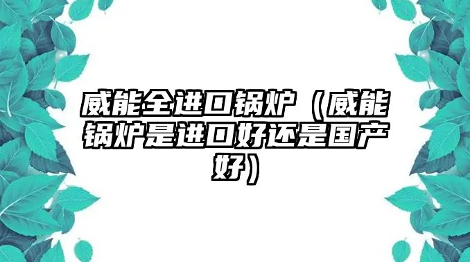 威能全進(jìn)口鍋爐（威能鍋爐是進(jìn)口好還是國(guó)產(chǎn)好）