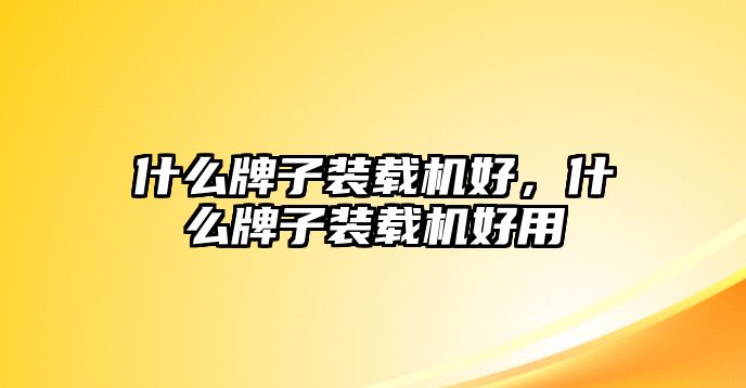 什么牌子裝載機(jī)好，什么牌子裝載機(jī)好用