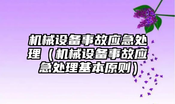 機械設(shè)備事故應(yīng)急處理（機械設(shè)備事故應(yīng)急處理基本原則）