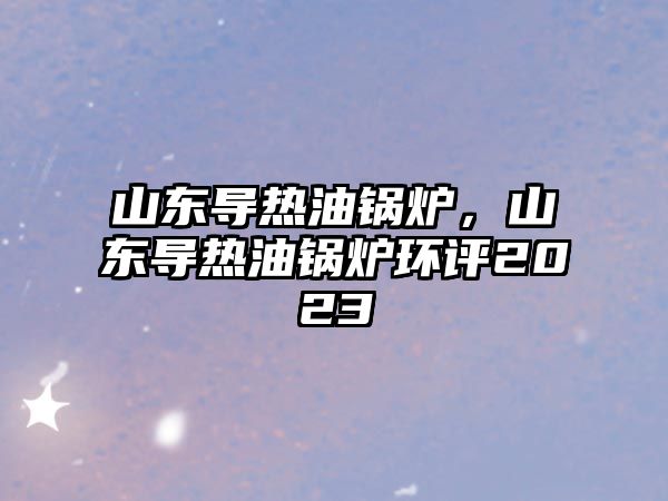 山東導(dǎo)熱油鍋爐，山東導(dǎo)熱油鍋爐環(huán)評(píng)2023