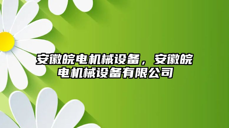 安徽皖電機械設備，安徽皖電機械設備有限公司