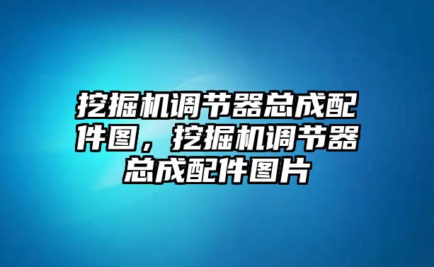 挖掘機(jī)調(diào)節(jié)器總成配件圖，挖掘機(jī)調(diào)節(jié)器總成配件圖片