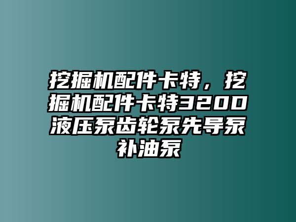 挖掘機(jī)配件卡特，挖掘機(jī)配件卡特320D液壓泵齒輪泵先導(dǎo)泵補(bǔ)油泵